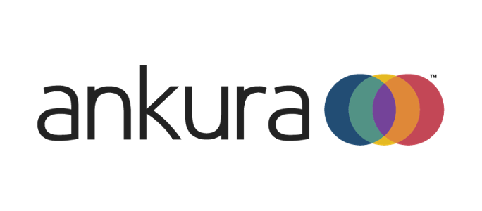 Relativity Partner - Ankura