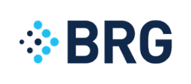 Berkeley Research Group (BRG) - Relativity Partner