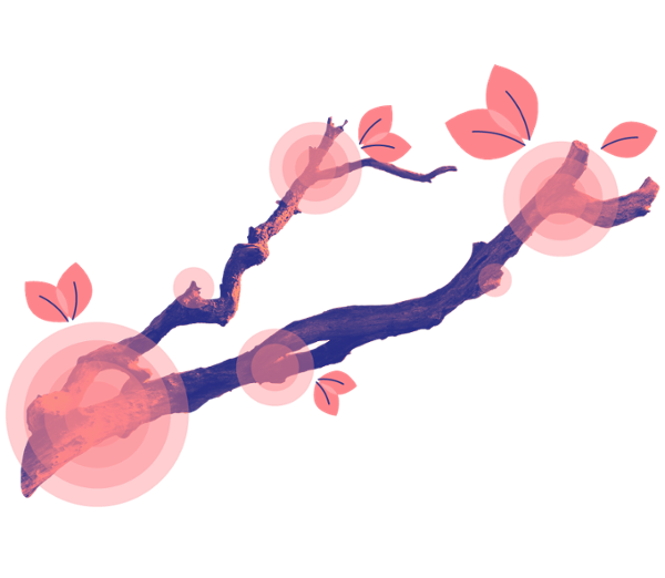 Beyond Lit Support: Advice on Branching Out to Serve More Practice Areas with In-house Technology Icon - Relativity Blog