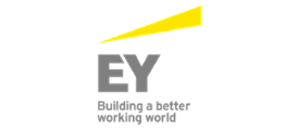 EY - Relativity Partner